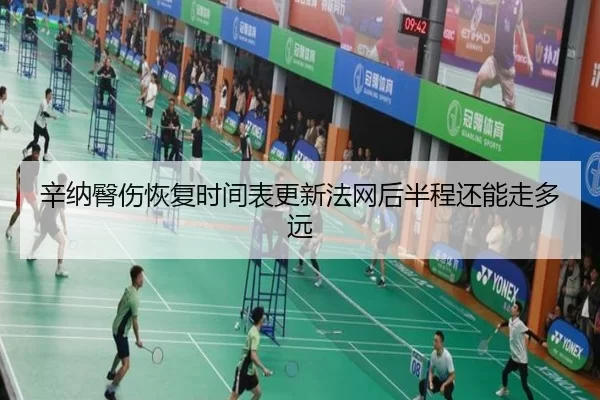 辛纳臀伤恢复时间表更新法网后半程还能走多远